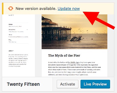 Update WP Theme